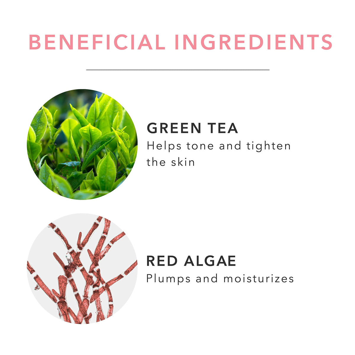 100% PURE botanical ingredients display with coconut and aloe to emphasize natural actives