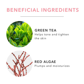 100% PURE botanical ingredients display with coconut and aloe to emphasize natural actives