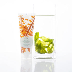 100% PURE bottle held in hand to show real size and portability