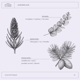 A LA MAISON back label photographed to show ingredients and usage directions benefit