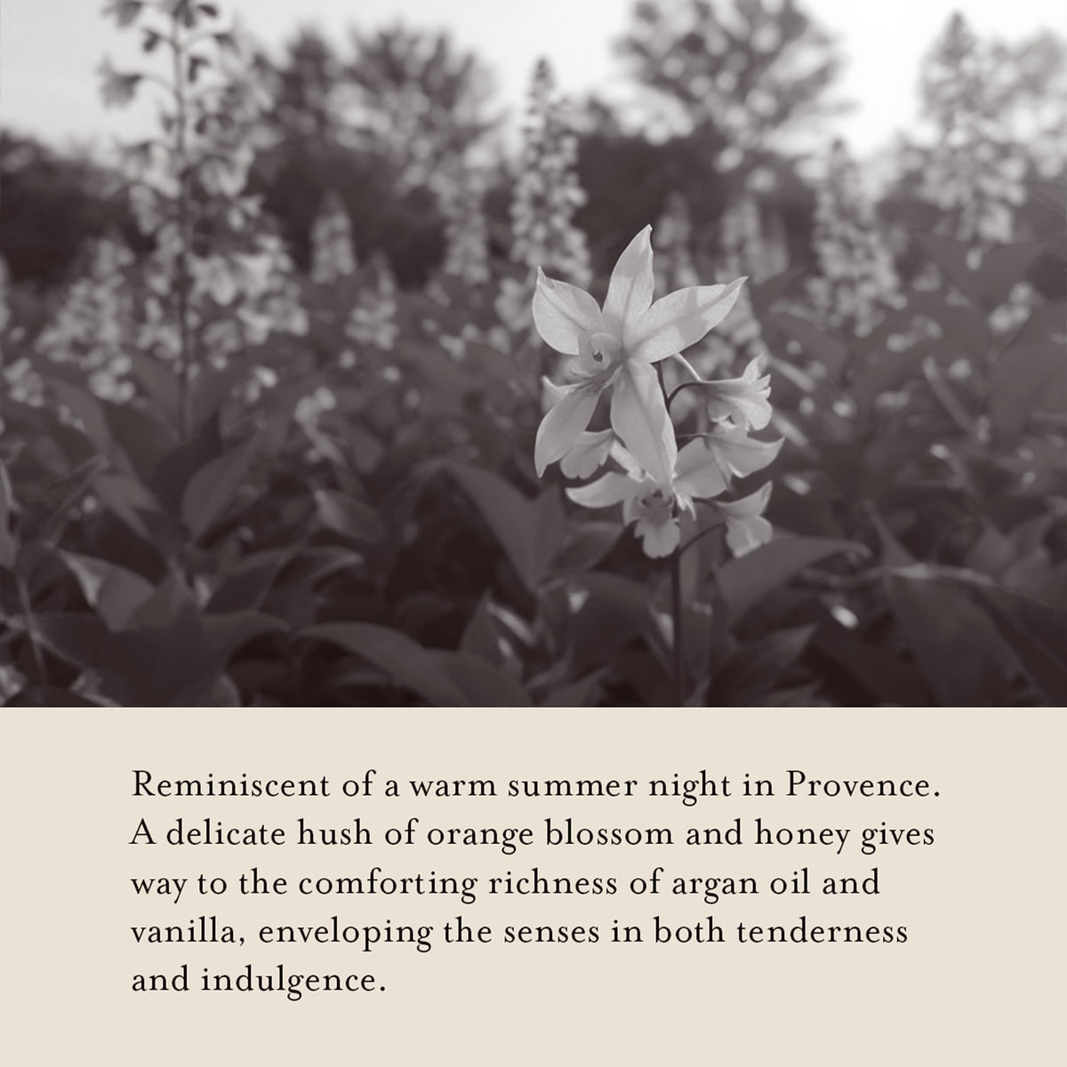 A LA MAISON close-up label showing French craftsmanship and product details