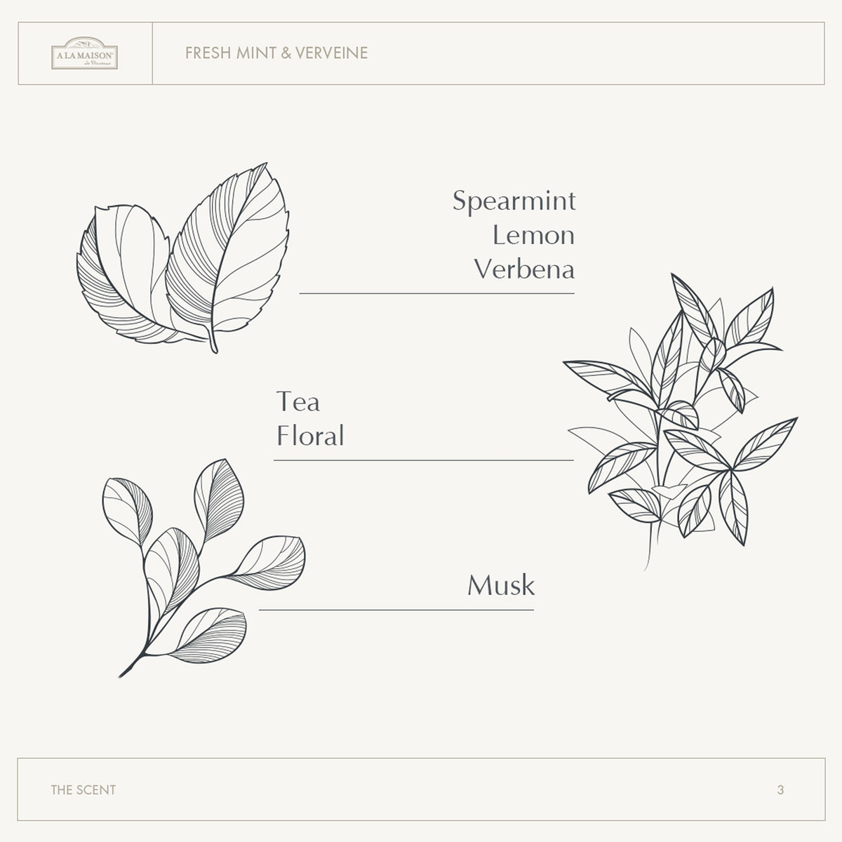 A LA MAISON shea argan avocado ingredients staged to show nourishing benefits