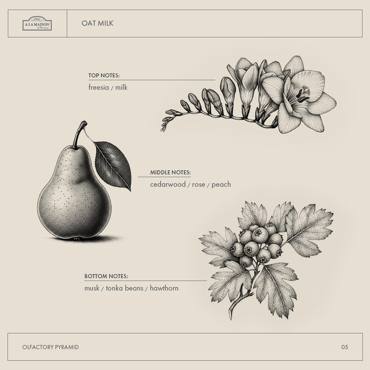 A LA MAISON ingredients label showing oils and oat milk for transparency