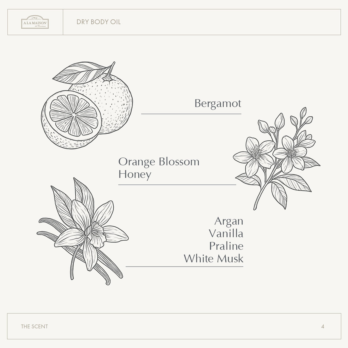 A LA MAISON oil droplet on hand demonstrating silky texture and quick absorption