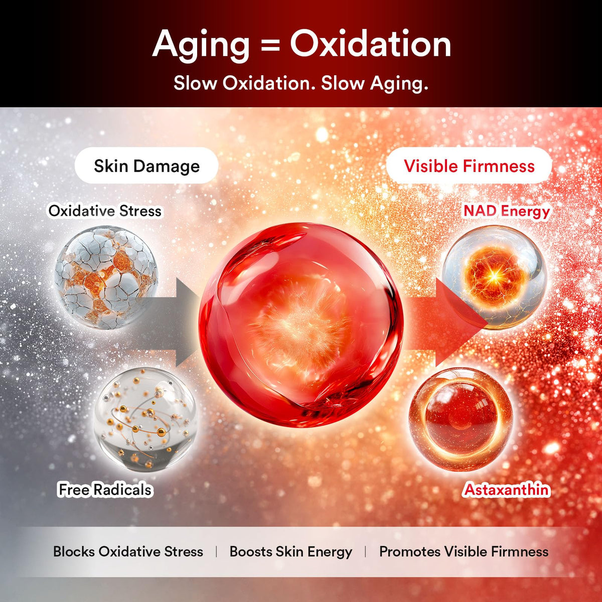 Abib ASTA‑NAD ingredients label closeup showing NAD+ and astaxanthin benefits