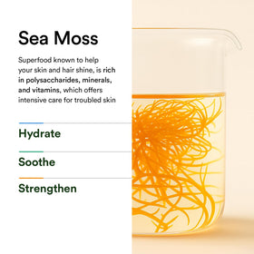 Abib product label close-up showing ingredient highlights and percentage strengths