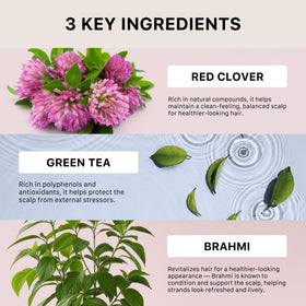 ACTIIV back label ingredients view conveying transparency and plant-based formula