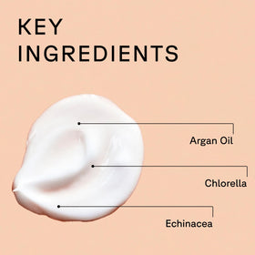 Acure cream application on hand demonstrating amount needed and blendability
