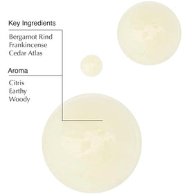 Close-up texture of Aesop body cleanser gel showing lightweight, easy-rinse consistency
