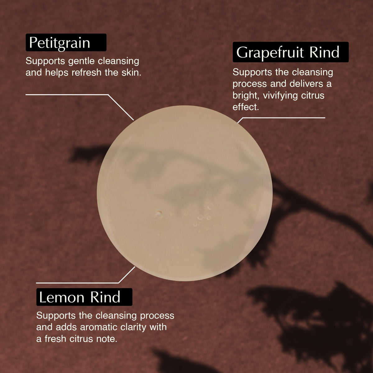 Aesop ingredients display with lemon rind and grapefruit showing natural benefit