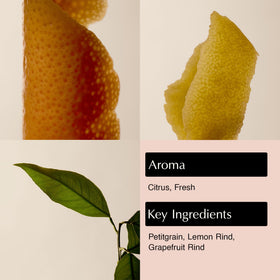 Aesop pump detail highlighting sturdy dispenser and easy use benefit