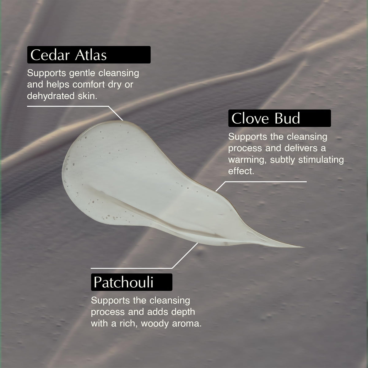 Aesop Eleos label detail emphasizing botanical ingredients and transparency benefit