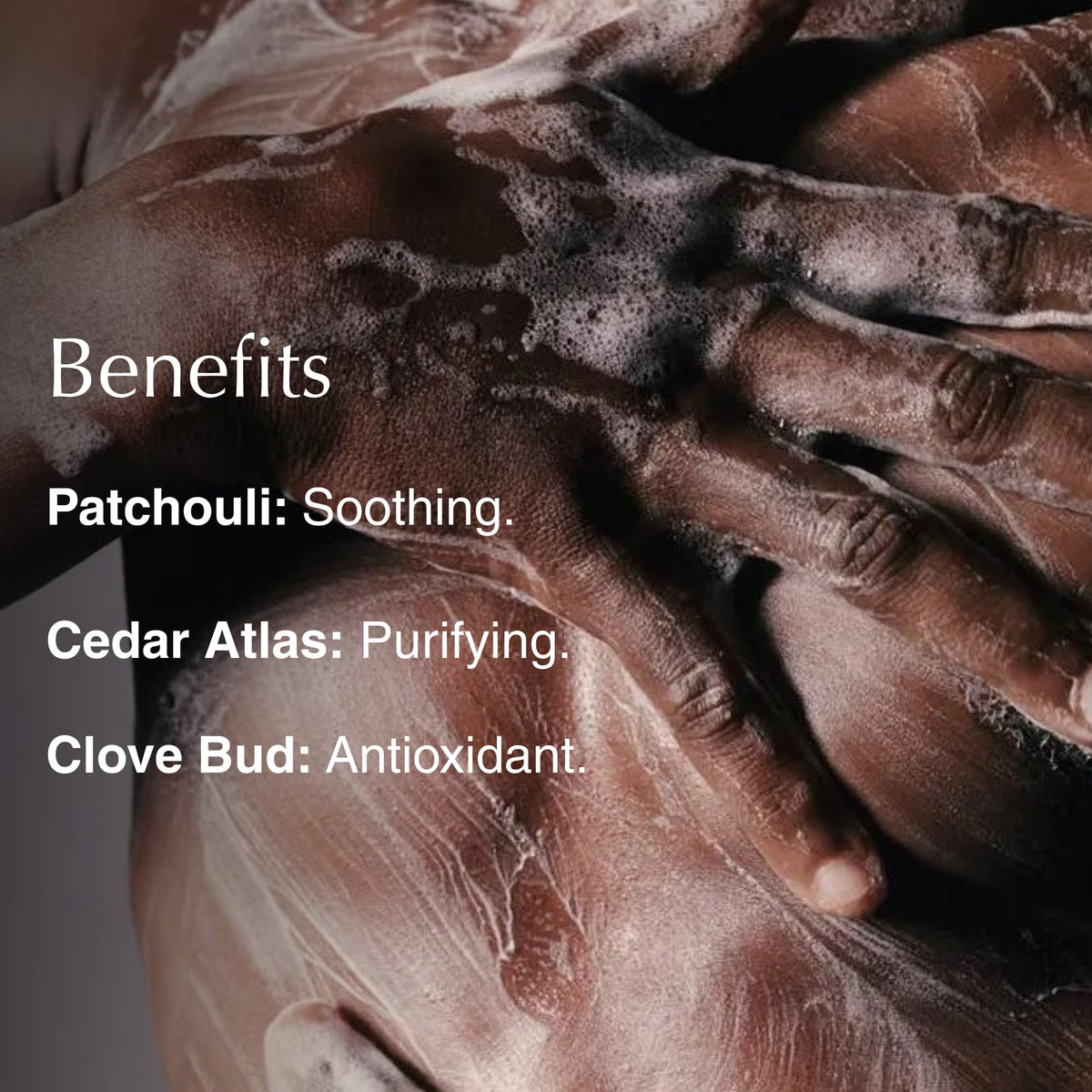 Aesop Eleos lather in hand emphasizing soft, non-drying cleanse