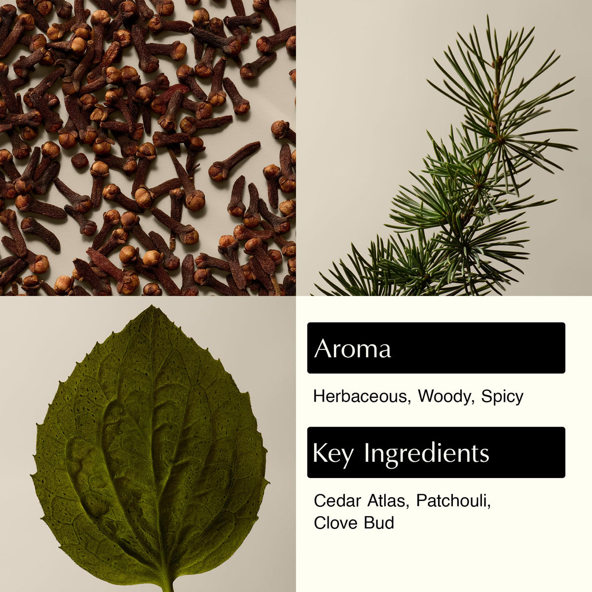 Aesop Eleos pump close-up highlighting easy dispensing and controlled use