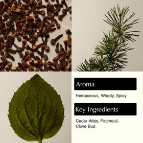 Aesop Eleos pump close-up highlighting easy dispensing and controlled use