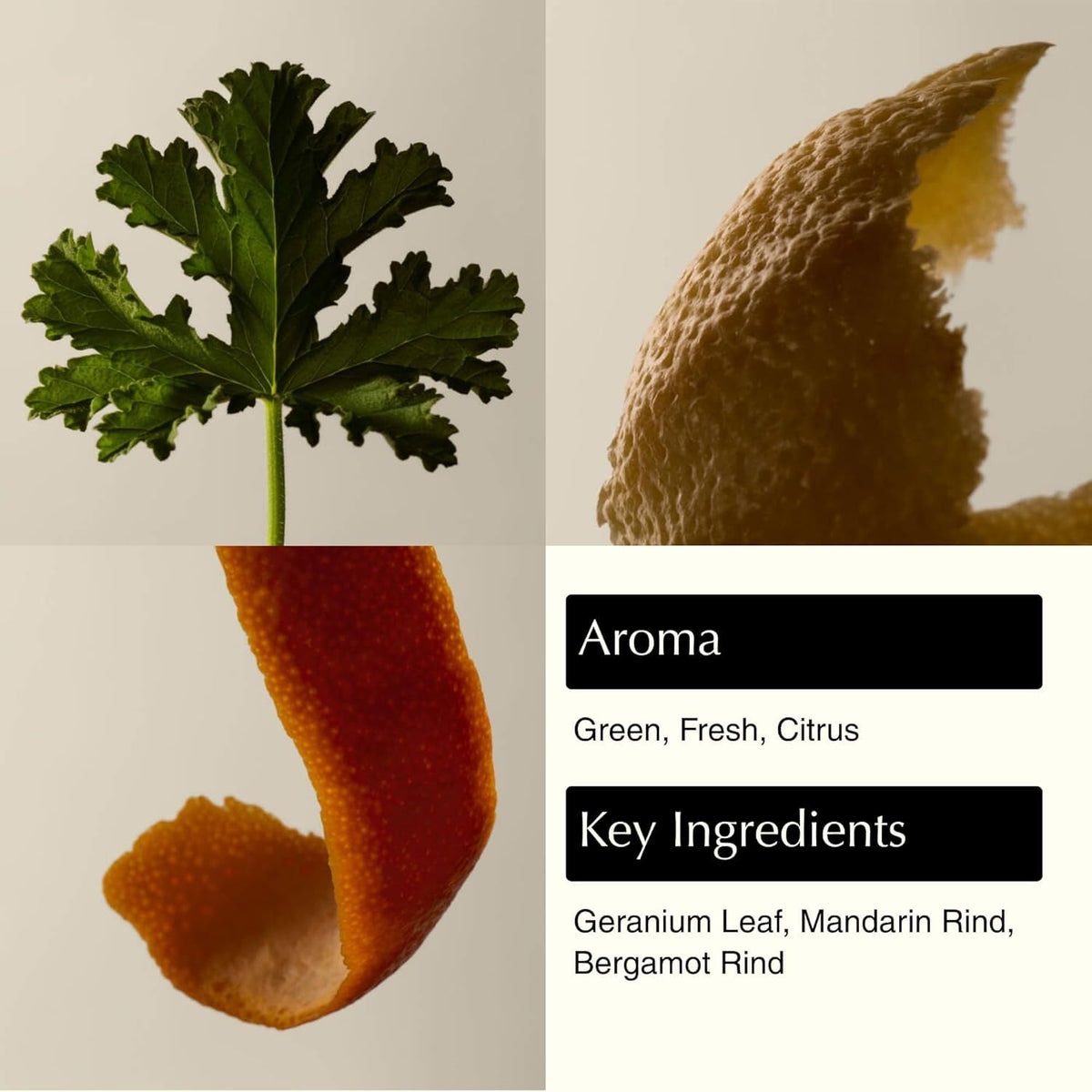 Aesop geranium leaf being poured into a dispenser demonstrating easy refill benefit
