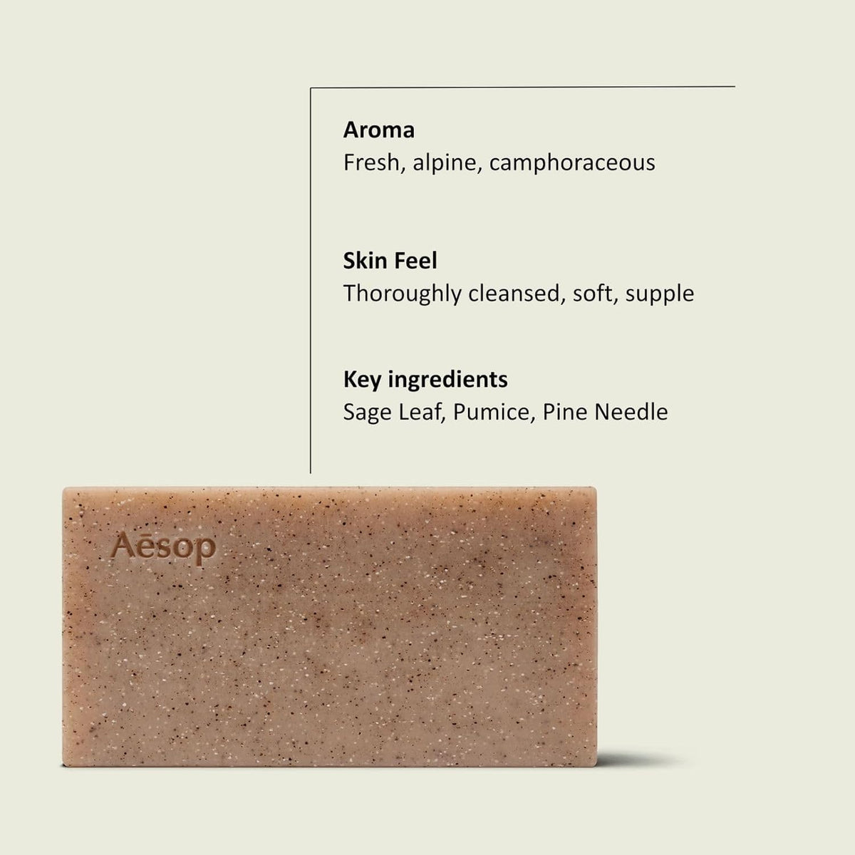 Aesop close-up of pumice texture highlighting gentle polish action