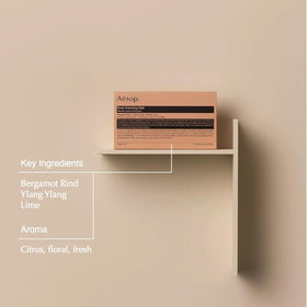 Aesop slab in hand showing size and weight for durable home use
