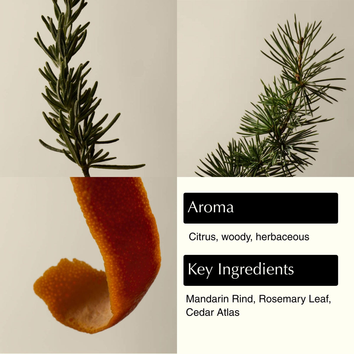 Close-up of Aesop label text and ingredients for informed purchase