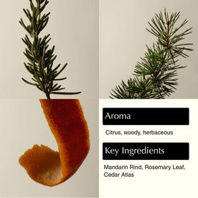 Close-up of Aesop label text and ingredients for informed purchase
