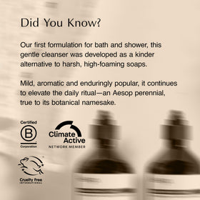 Aesop 500 mL bottle next to everyday items showing scale and value