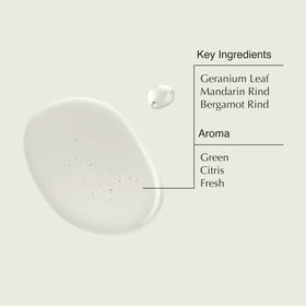 Aesop shampoo lather in hand demonstrating low-foaming cleanse and scalp refreshment
