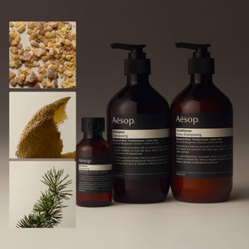 Aesop shampoo lather texture close-up showing gentle foam and conditioning benefit