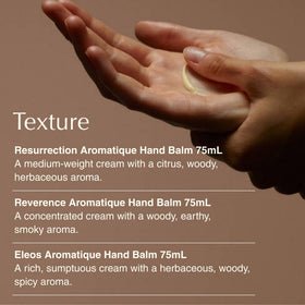 Aesop trio inside travel pouch ready for commute with secure, leak-resistant benefit