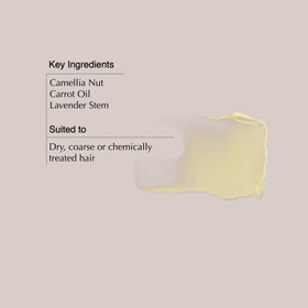 Close-up of camellia nut ingredient with Aesop balm indicating nourishing benefit