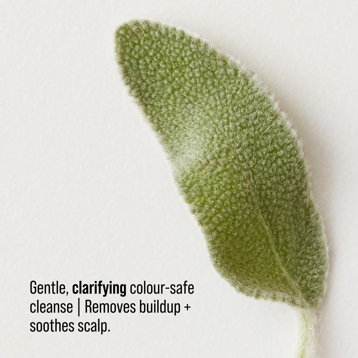 AG Care lather and texture close-up illustrating gentle sulfate-free cleansing