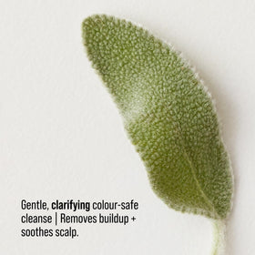 AG Care lather and texture close-up illustrating gentle sulfate-free cleansing
