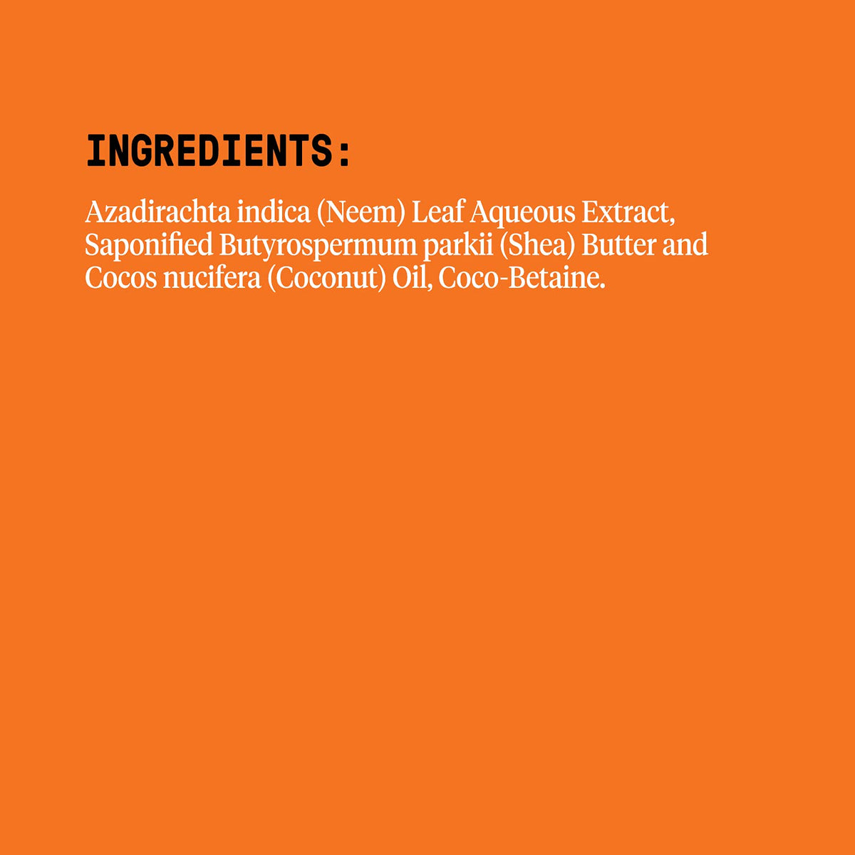 Alaffia creamy lather texture demonstrating gentle moisturizing action
