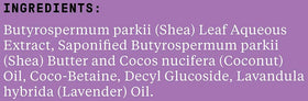 Alaffia shea butter texture close-up highlighting nourishing ingredient benefits