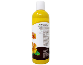 Alba Botanica shampoo bottle in bathroom showing tropical routine benefits