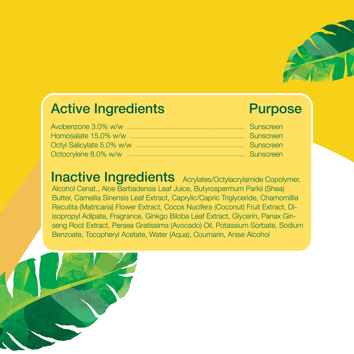 Alba Botanica sunscreen being applied on arm showing even coverage benefit