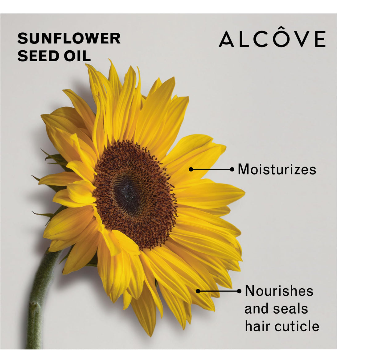 Alcove cream texture closeup illustrating smooth, non-greasy formula