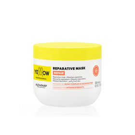 ALFAPARF MILANO front packaging showing professional repair mask benefits