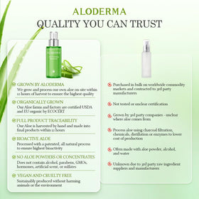 Aloderma bottle next to aloe leaves and shea nuts, showcasing botanical ingredients