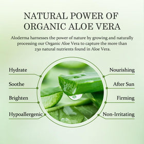 Aloderma gel on hand demonstrating quick absorption and soothing finish