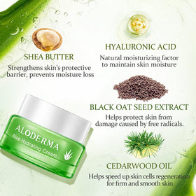 Aloderma aloe stem and leaves highlighting organic source and freshness benefit