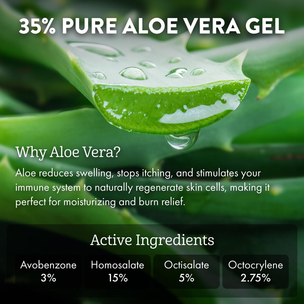 ALOE UP close-up of aloe gel texture highlighting hydration benefit