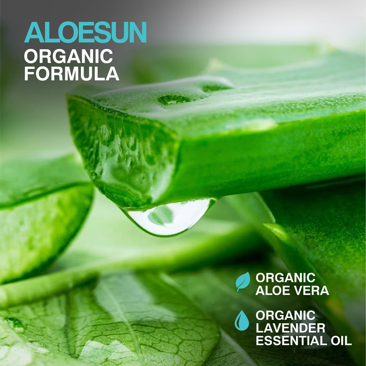 ALOESUN size compared with soda can to show compact 3.4 fl oz