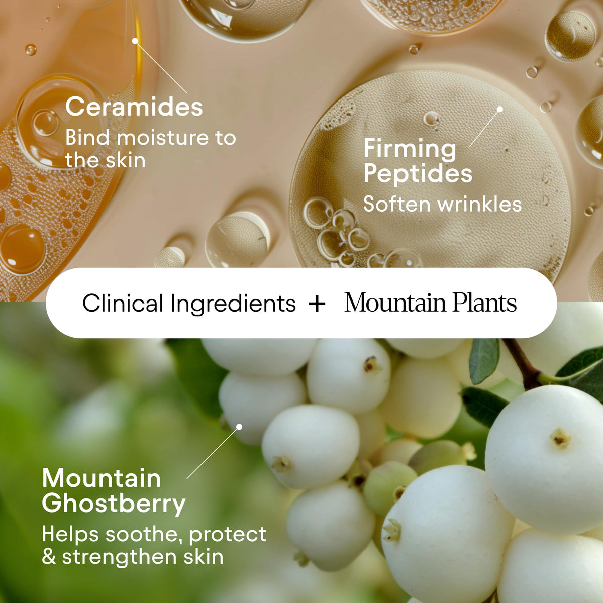 Alpyn moisturizer in hand demonstrating compact travel-friendly size