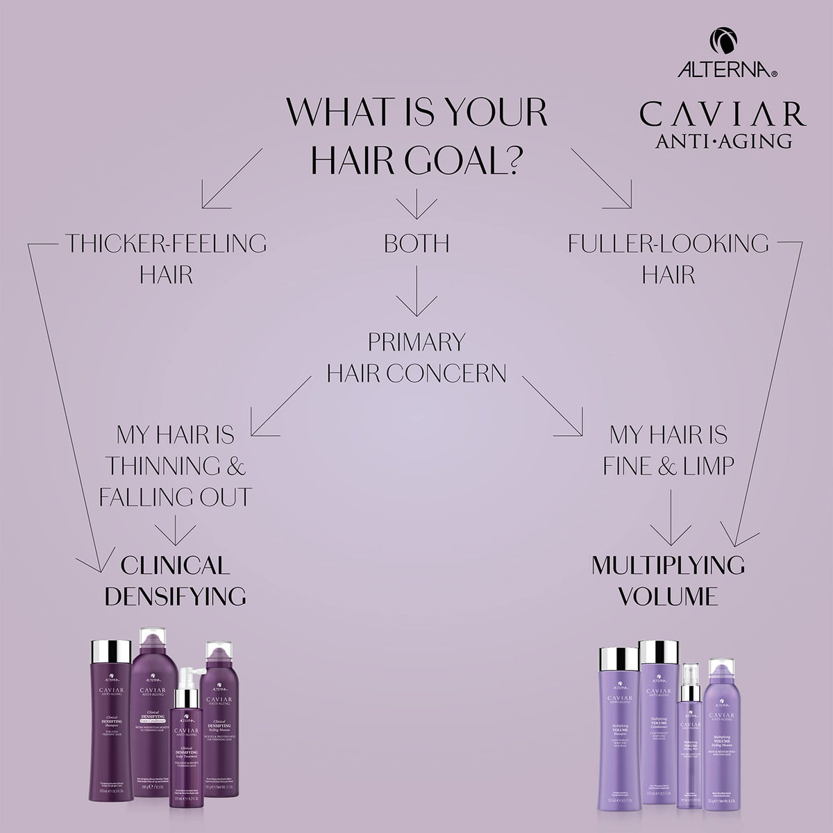 Alterna CAVIAR before and after volume comparison illustrating fuller, thicker-looking hair
