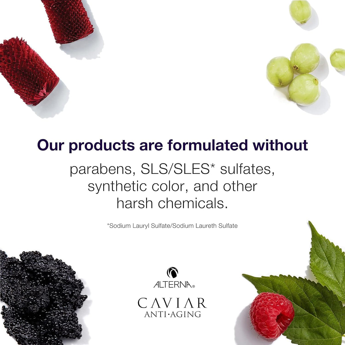 Alterna product label close-up listing 'no parabens, sulfates, phthalates' benefit