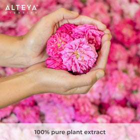 Alteya Organics fresh Rosa Damascena petals close-up showing steam-distillation source benefit