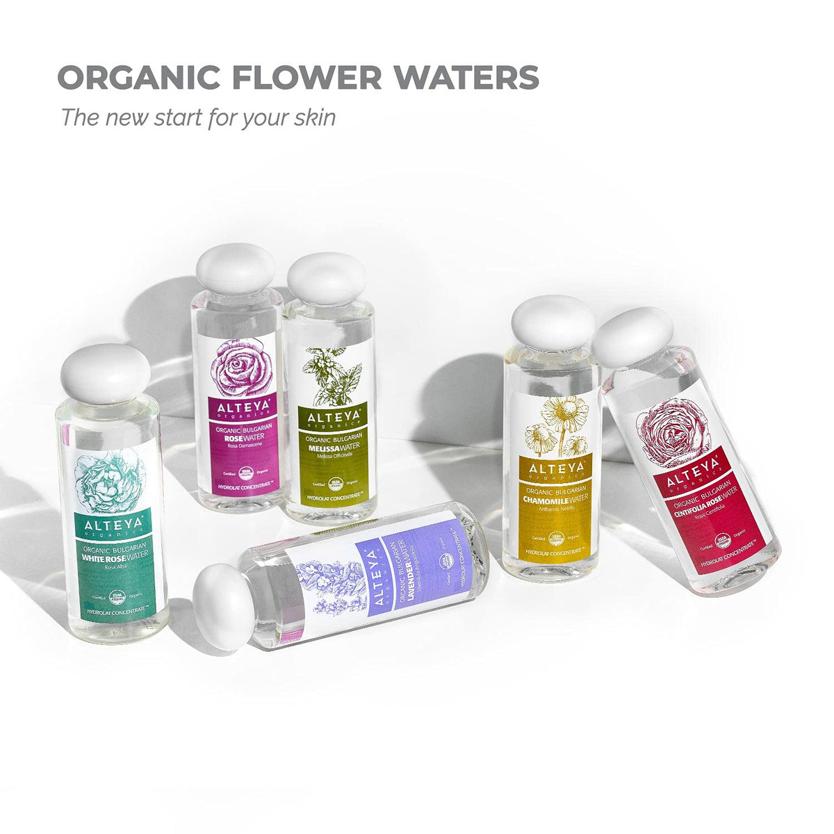 Alteya Organics 250ml bottle in hand conveying true product scale