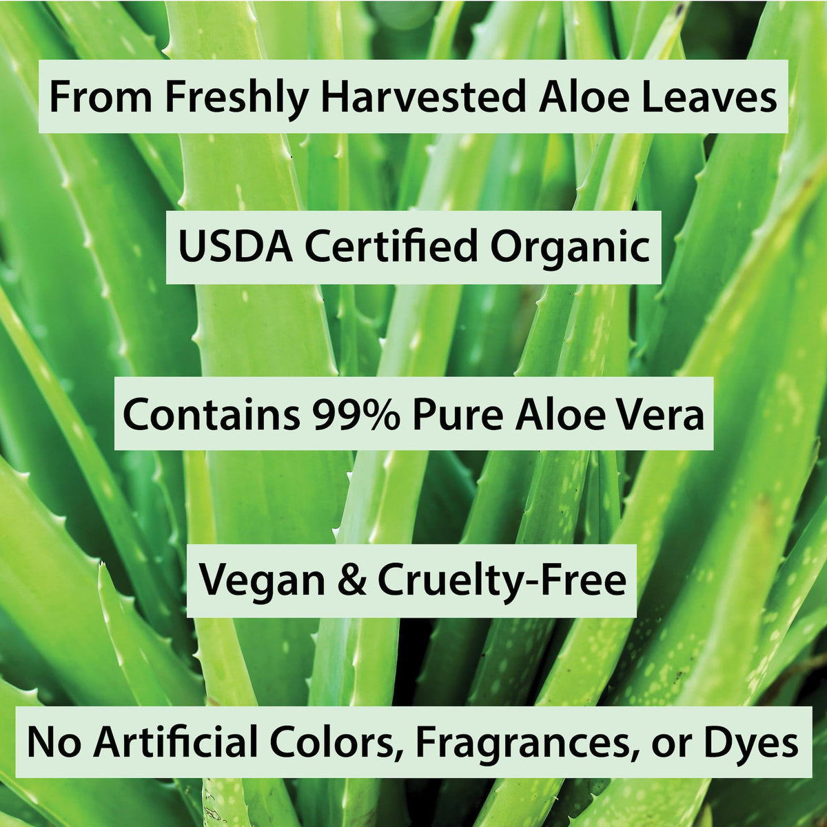 Amara Beauty smoothing aloe gel through hair to reduce frizz and add shine benefit