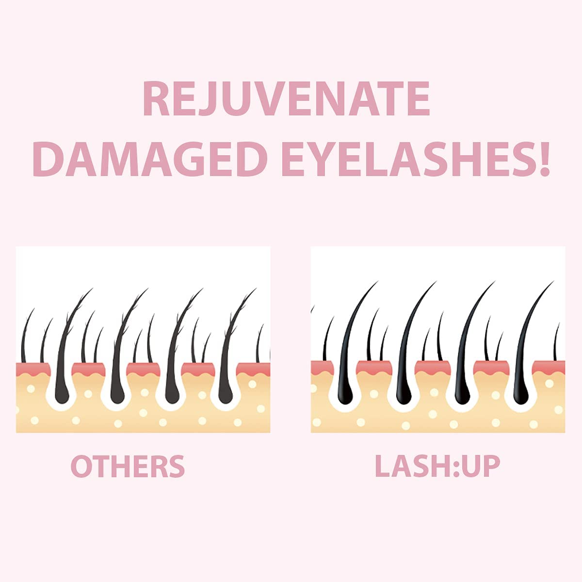 amber lash brow lamination before and after showing feathered, fuller brow shape