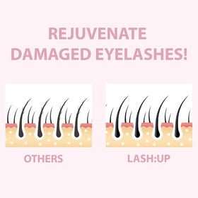 amber lash brow lamination before and after showing feathered, fuller brow shape